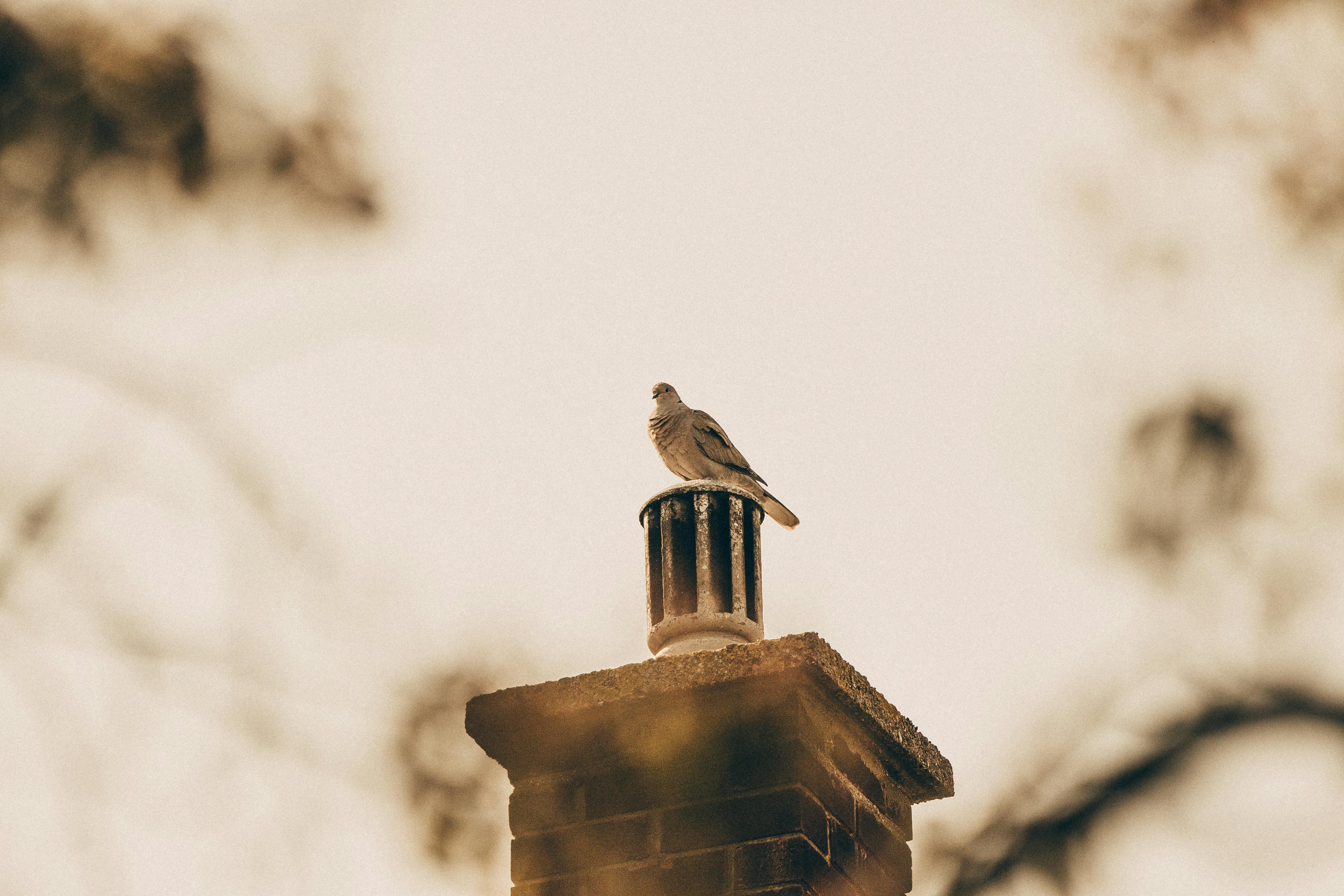 Quality Chimney Caps and Dampers Installation in Deerfield, IL Professional Chimney Cap and Damper In Deerfield Illinois